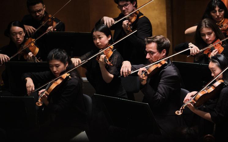 Musiciens jouent au violon.