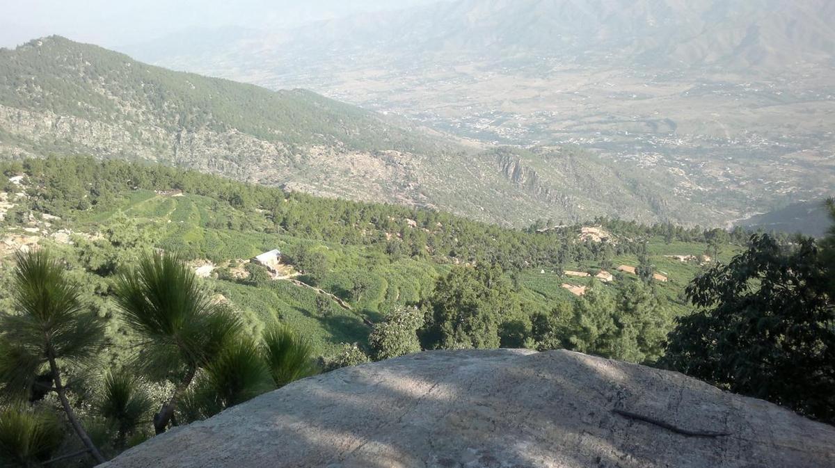 Bara au Pakistan