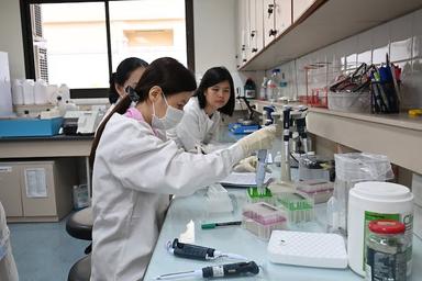 Au Cambodge, l’Institut Pasteur fixe ses priorités sanitaires
