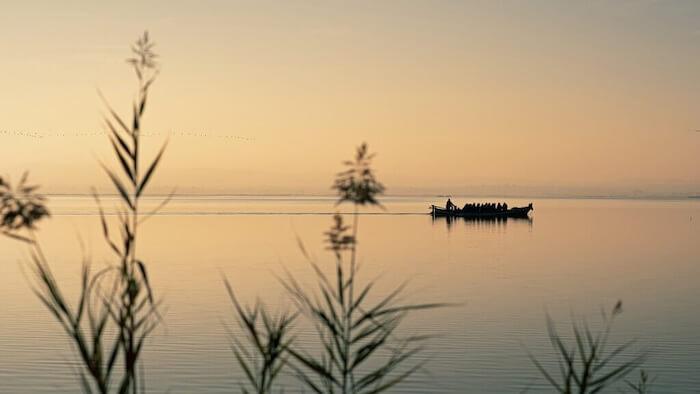 Albufera