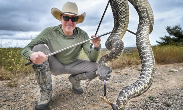 Bruce Ireland apprivoise un serpent à sonnette