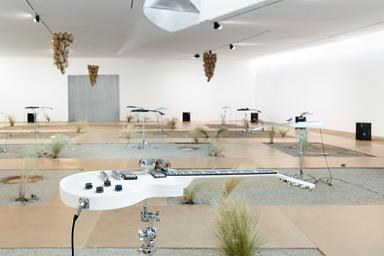 Céleste Boursier-Mougenot au MAAT Gallery - ©Bruno Lopes