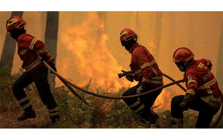 Incendies au Portugal et hautes températures