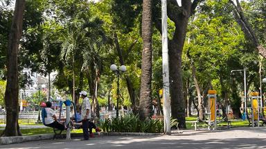 Verdure au cœur de Hô Chi Minh-Ville, ex Saïgon