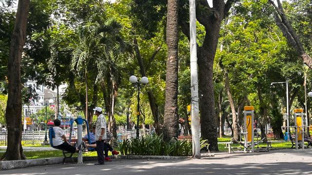 Verdure au cœur de Hô Chi Minh-Ville, ex Saïgon