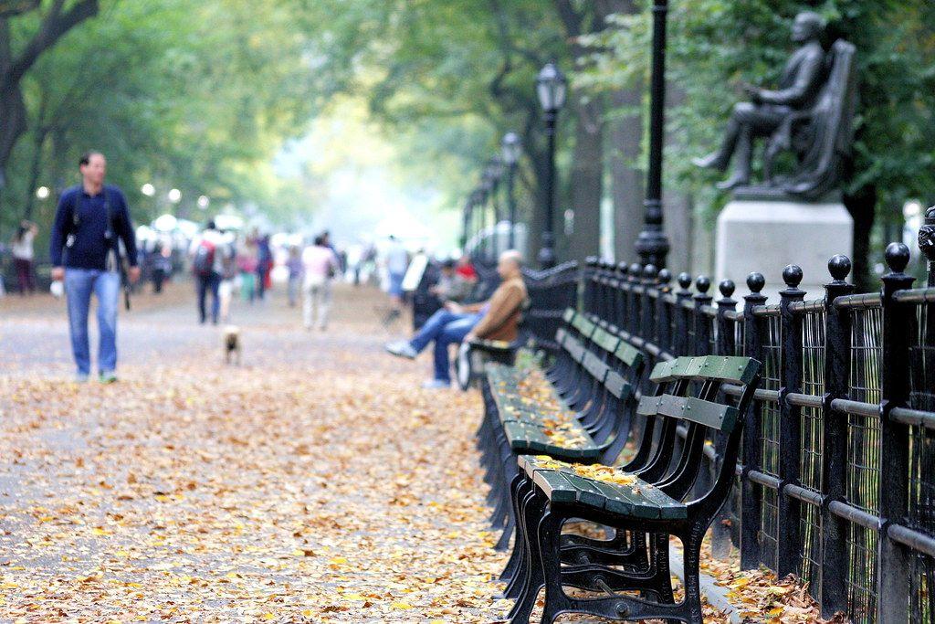 bancs central park