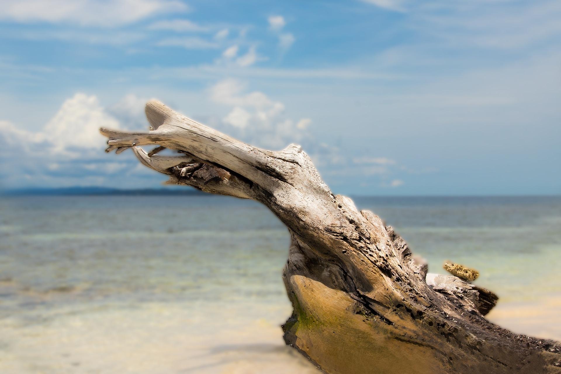 Plage panaméenne, côte Caraïbe