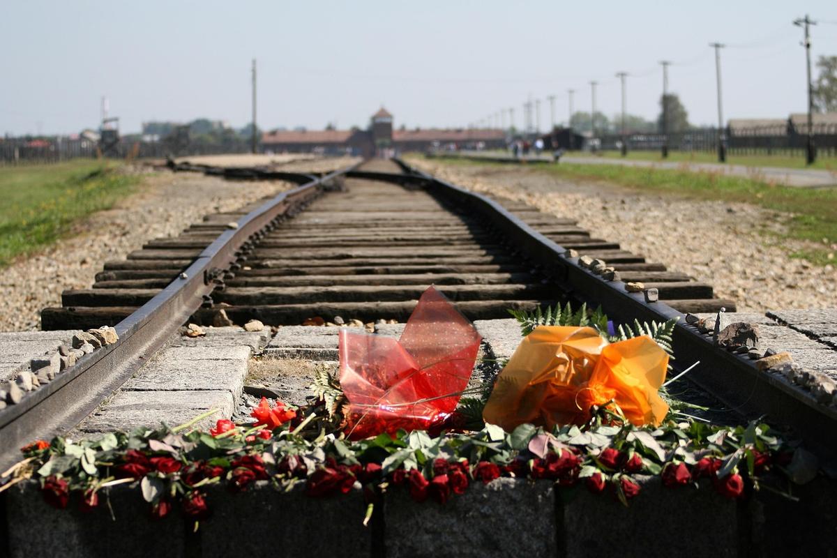 ronporter-auschwitz-birkenau-540526_1280