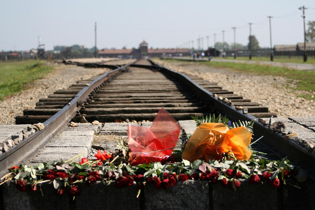 ronporter-auschwitz-birkenau-540526_1280