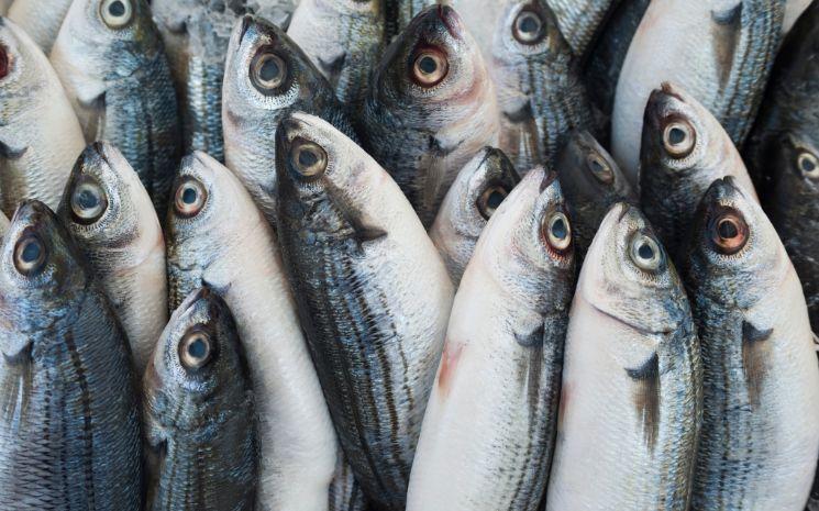 Du poisson frais par colis