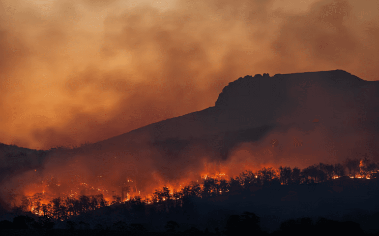 Un feu ravage des forêts.