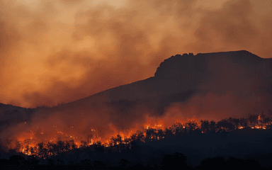 Un feu ravage des forêts.