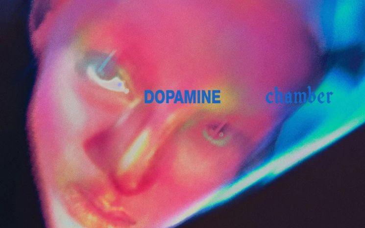 Fontaines DC Dopamine Chamber