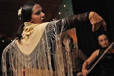 Peña Flamenca Torres Macarena
