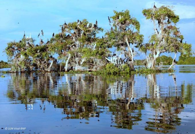Le site de Prek Toal au Cambodge proposé comme parc du patrimoine de l’ASEAN