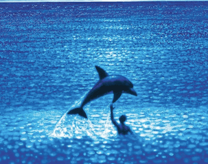 Le grand bleu Bio rio