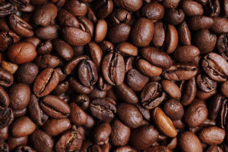 Vietnam-Ouganda : le café au cœur d’une coopération durable