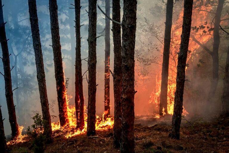 incendies france