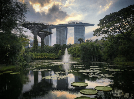 Gardens by the Bay Photo: Serguei/Pexels
