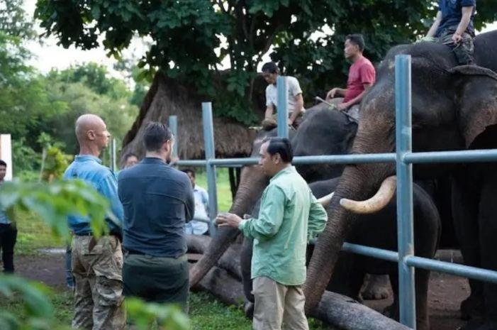 Elephant 2026-09-24 053520