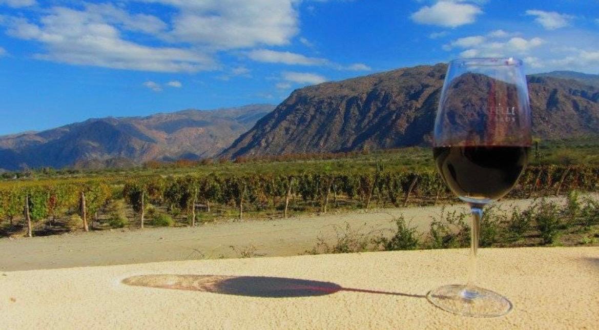 Vin Argentine