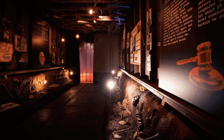 Serial Killer - The True Crime Exhibition