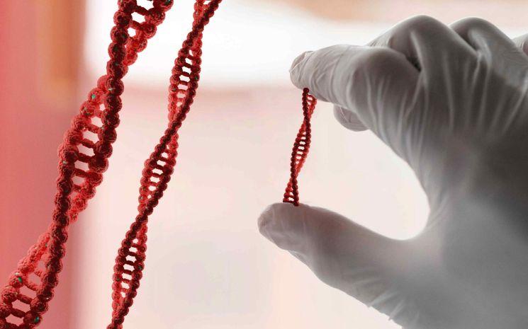 Cellules souches ou prothèse du genou