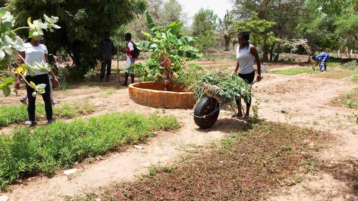 Ramassage de matériaux immatures pour la construction d'une pile de compost