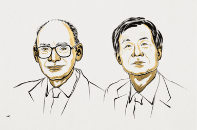 Henri B. Kagan & Kenso Soai, Prix Nobel Chimie 2026