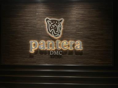 Pantera DMC Panama