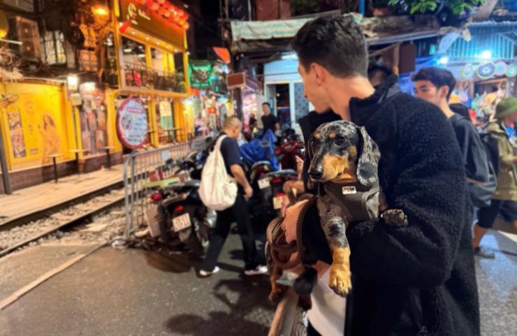 Amener son chien au Vietnam : ce qu’il faut savoir
