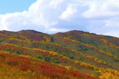 automne chine