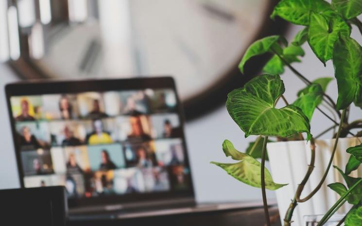 Webinaire et ordi et plante