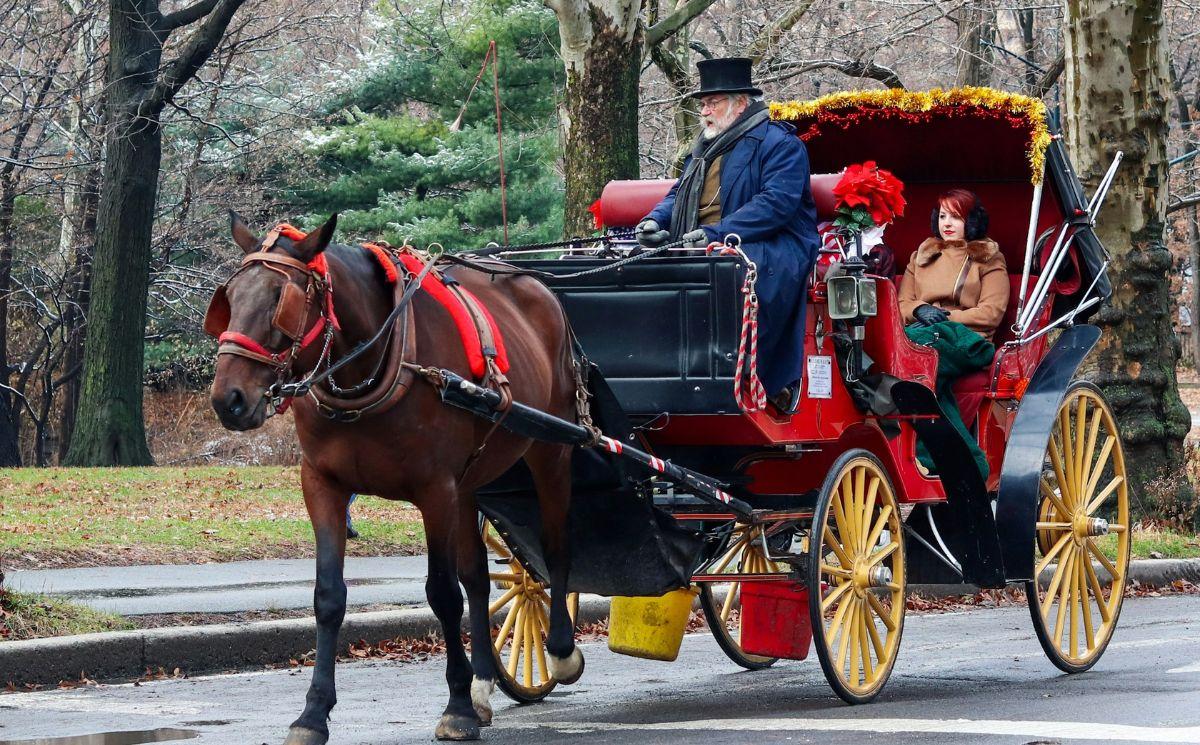 les célèbres calèches de New York seront interdites dès juin 2028