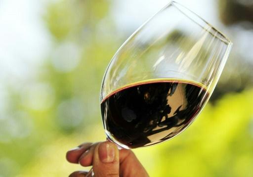 vin le plus vieux du monde