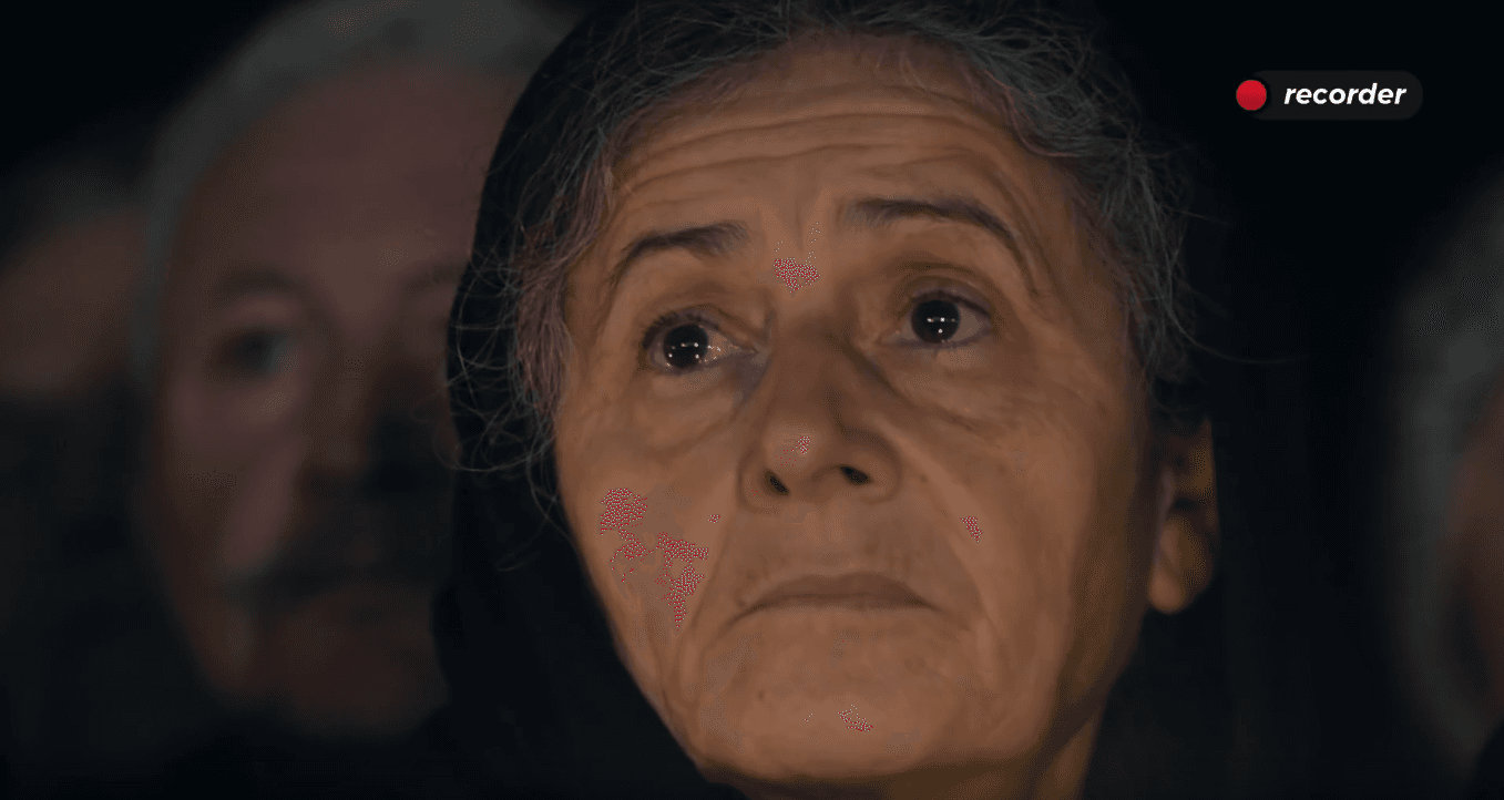 funerailles-roi-michel-recorder-ro