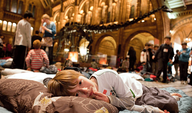 Dinosaure, musée, histoire, naturelle, Londres, nuit, enfants, Oxford, Crystal, palace, expat, expatriés, français, francophones, french, communauté