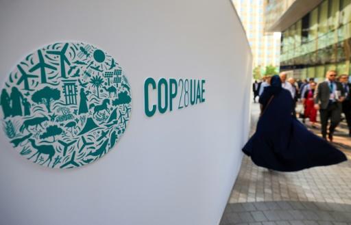 La COP28 de Dubai fait parler