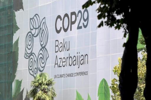 COP 29