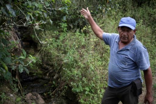 les avocats en colombie