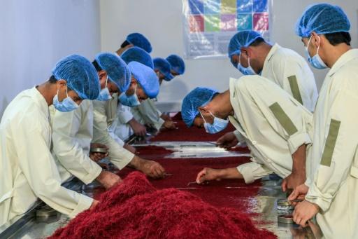 49d94f52377e3719db158b65ddc6cdf89ba31707