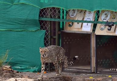 593289134cce9ba62da201b4b1f6bb9fd091986c