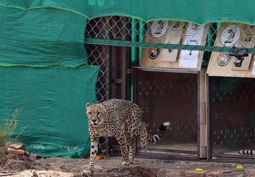 593289134cce9ba62da201b4b1f6bb9fd091986c