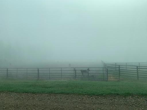 84c36a011bc5d9dfadae8d0af2e1da4e91e43a27