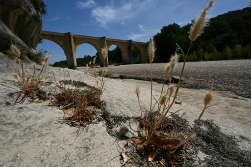 Une vague de chaleur s'installe en France et assèche les points d'eau