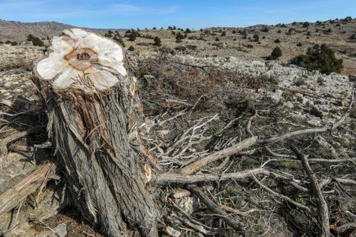 b651d1b605a070b694b0ed096f9b30837e0da9f0