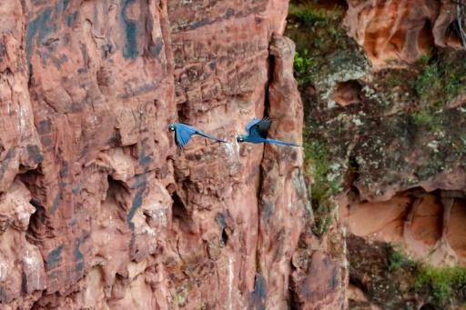 d4ae7e32f2fe1109a185c8d3a7244c11a558ddd1