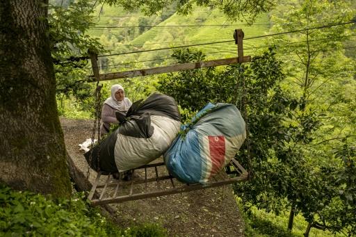 de8388e502b84c93e5ae7f995f912fc693762531