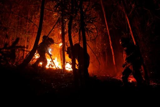 incendies de forêts au Chili