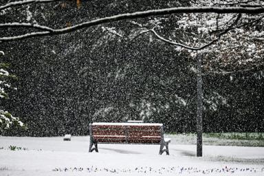 Décmbres à Beyrouth